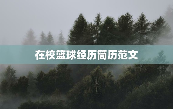 哪里能找到智能篮球训练的应用程序_1